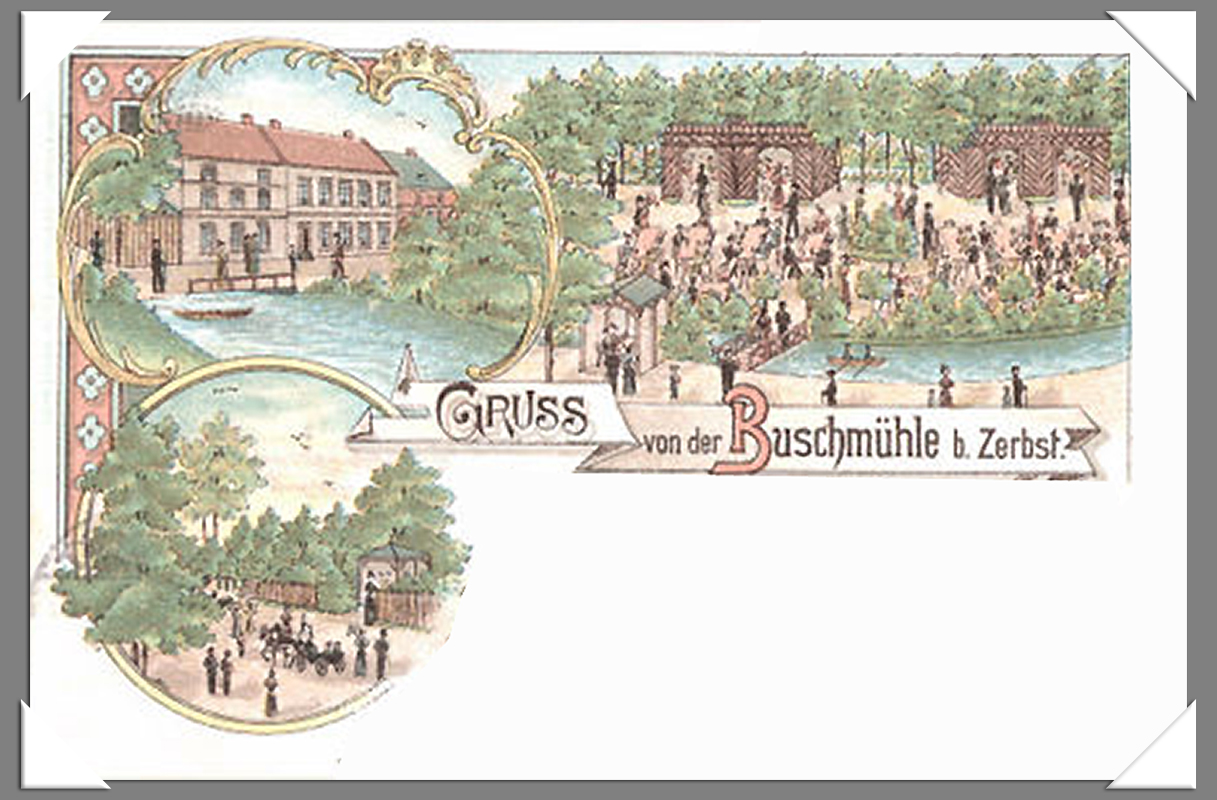 Ansichtskarte Lithografie Buschmühle bei Zerbst